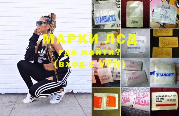 spice Нефтекумск